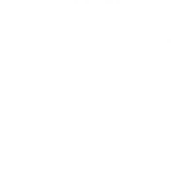 Siegel: Recognized Practitioner – ISO 20700:2017 Guidelines for Management Consultancy Services, ICMCI